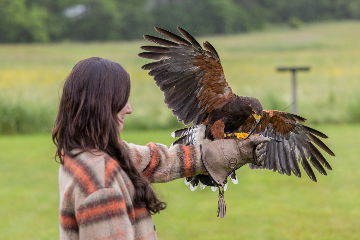 Engage in unique experiences